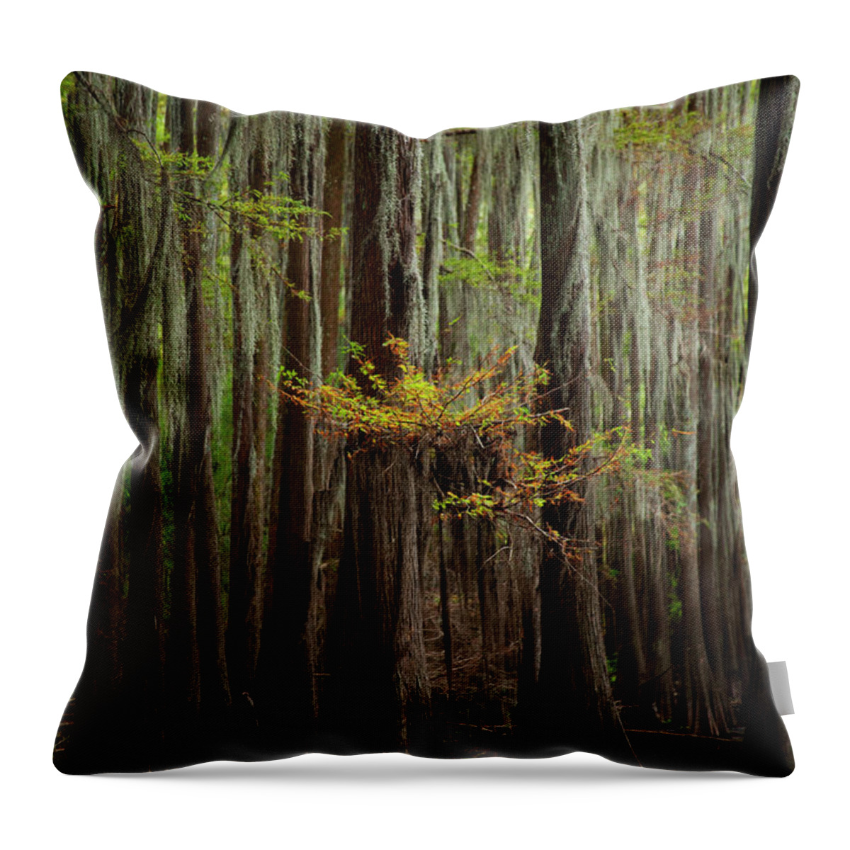 Swamp Trees Throw Pillow featuring the photograph Caddo Lake #5 by David Chasey