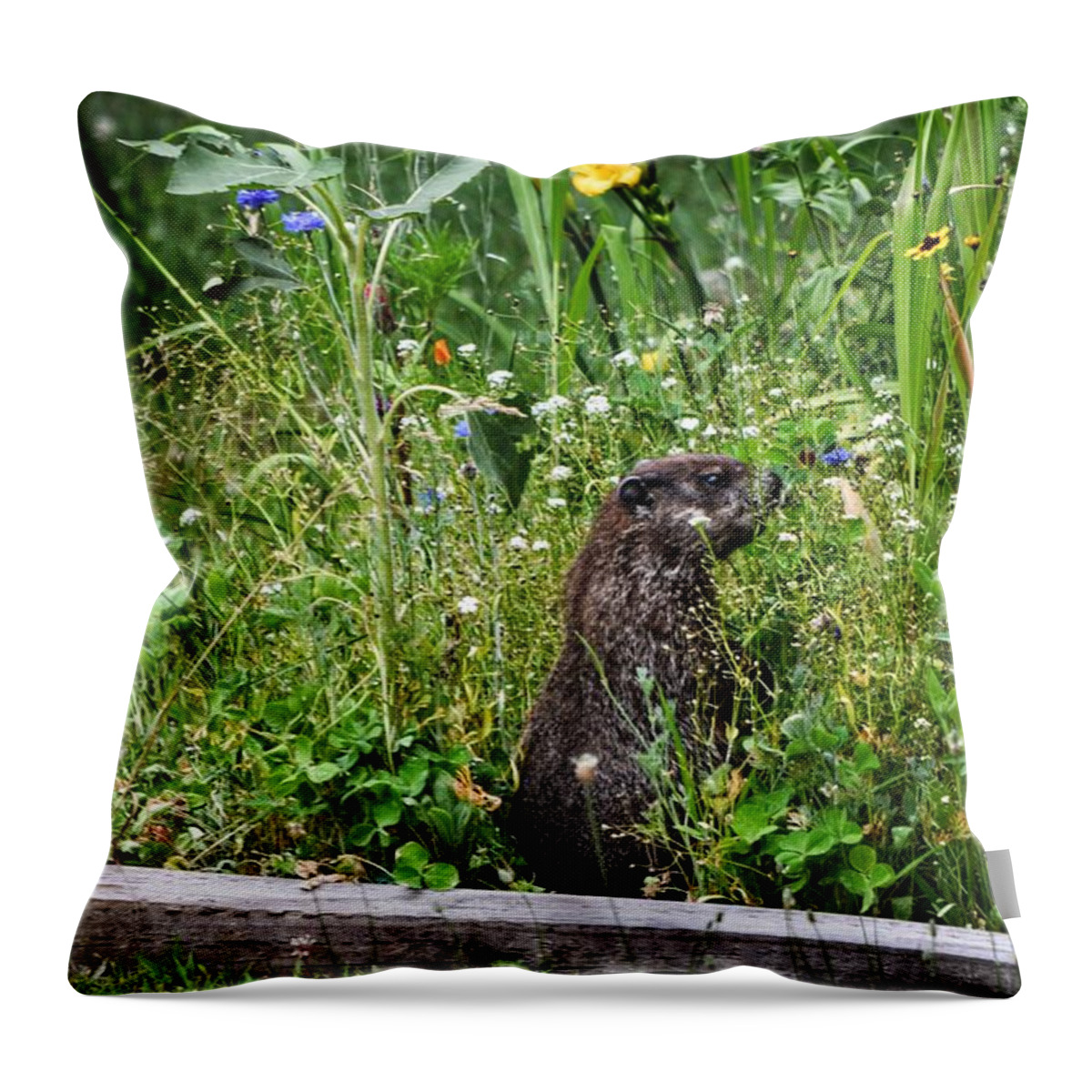 This Photograph Was Taken In Connecticut. Throw Pillow featuring the photograph Caddyshack by Joseph Caban