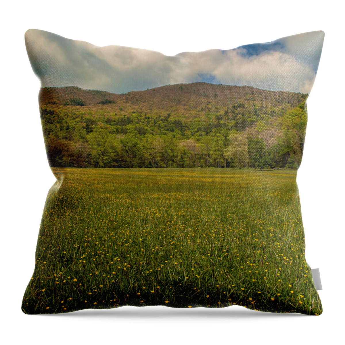 Great Smoky Mountains Throw Pillow featuring the photograph Cades Cove Buttercup Field by Brenda Jacobs