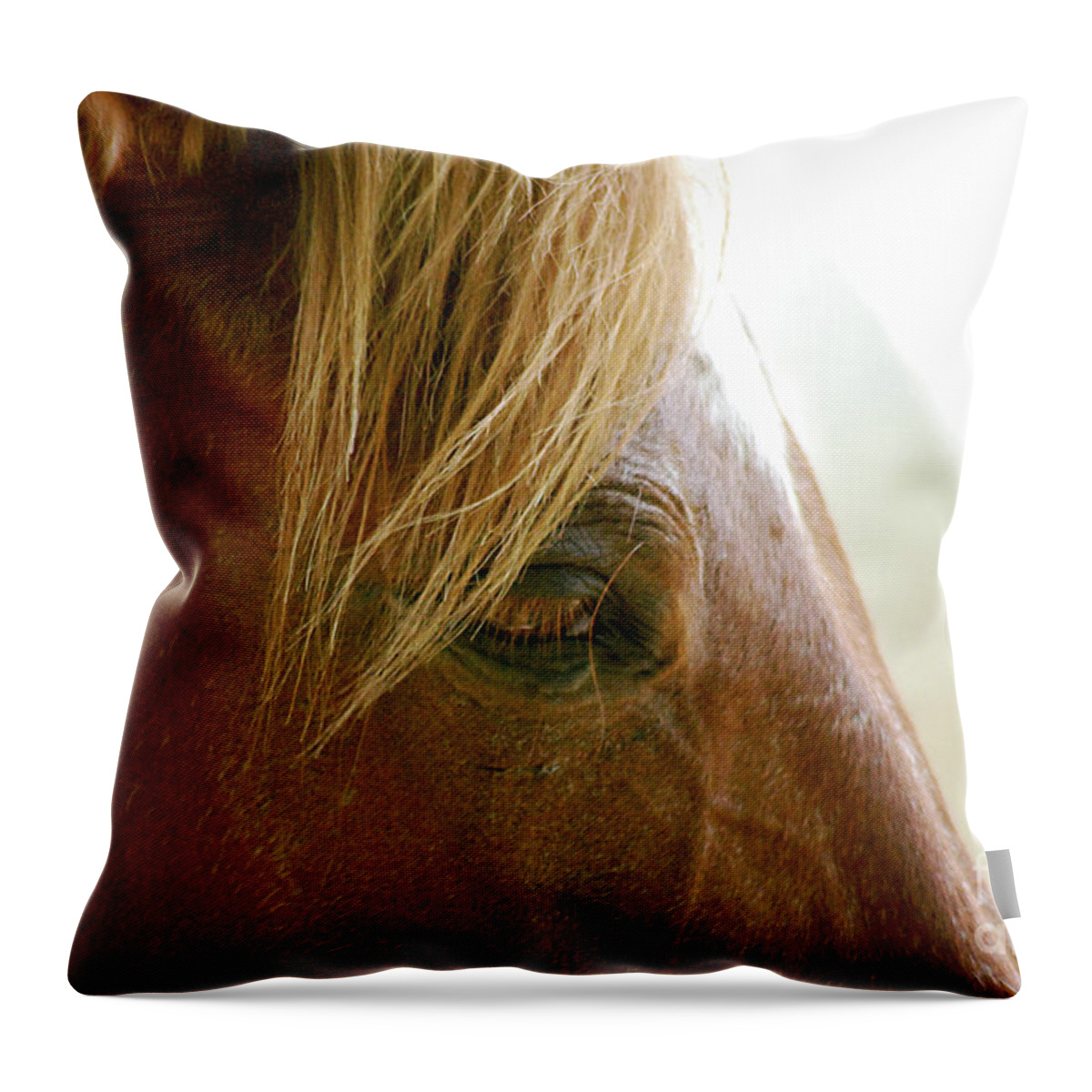 Cades Cove Throw Pillow featuring the photograph Cades Cove Horse 20160525_241 by Tina Hopkins