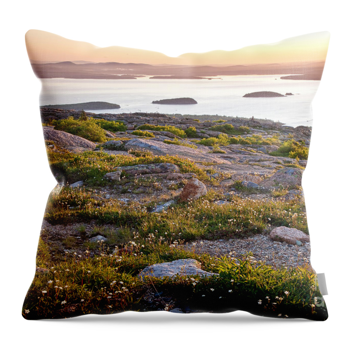 Acadia National Park Throw Pillow featuring the photograph Cadillac Mountain View by Susan Cole Kelly