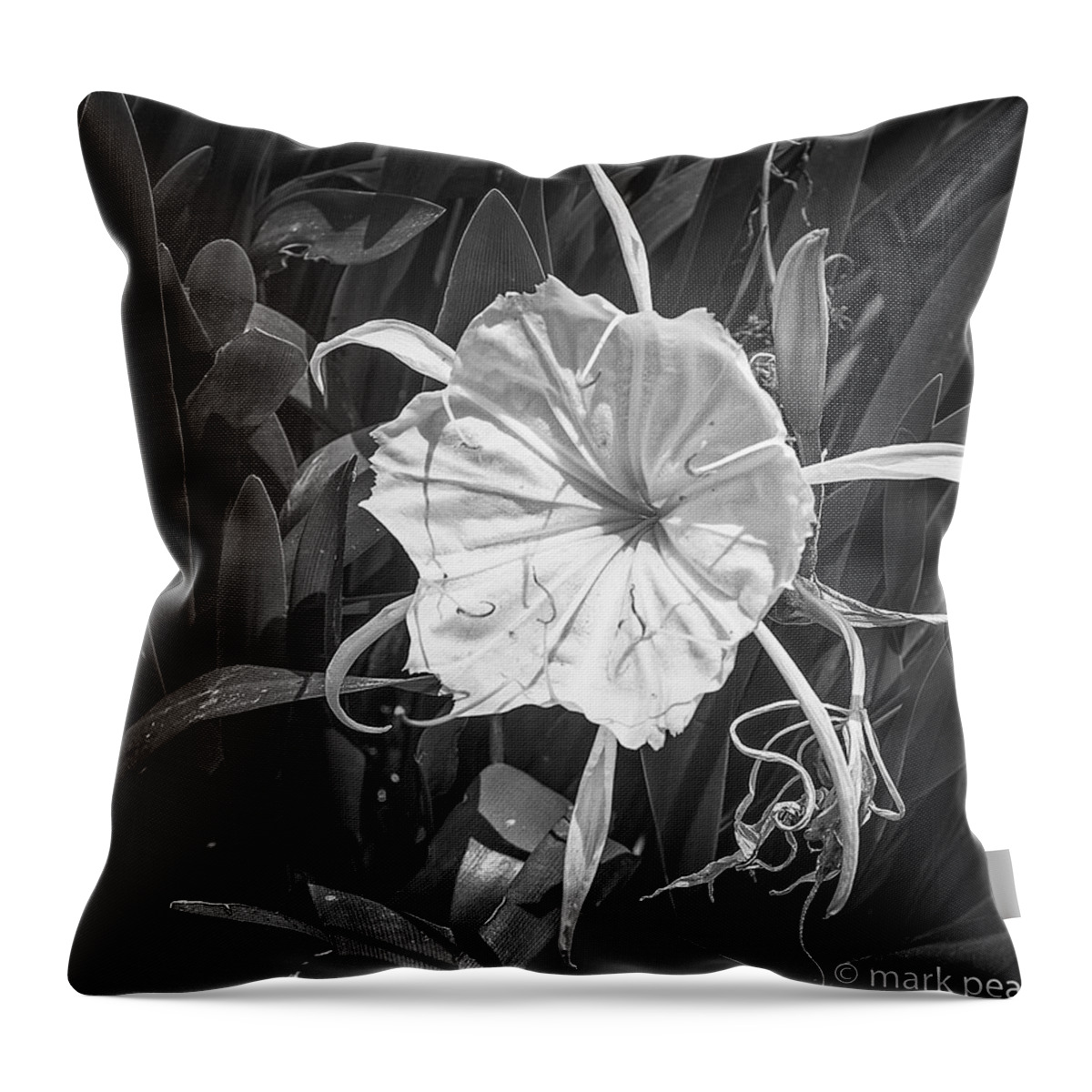 Black & White Throw Pillow featuring the photograph Cahaba Lily by Mark Peavy