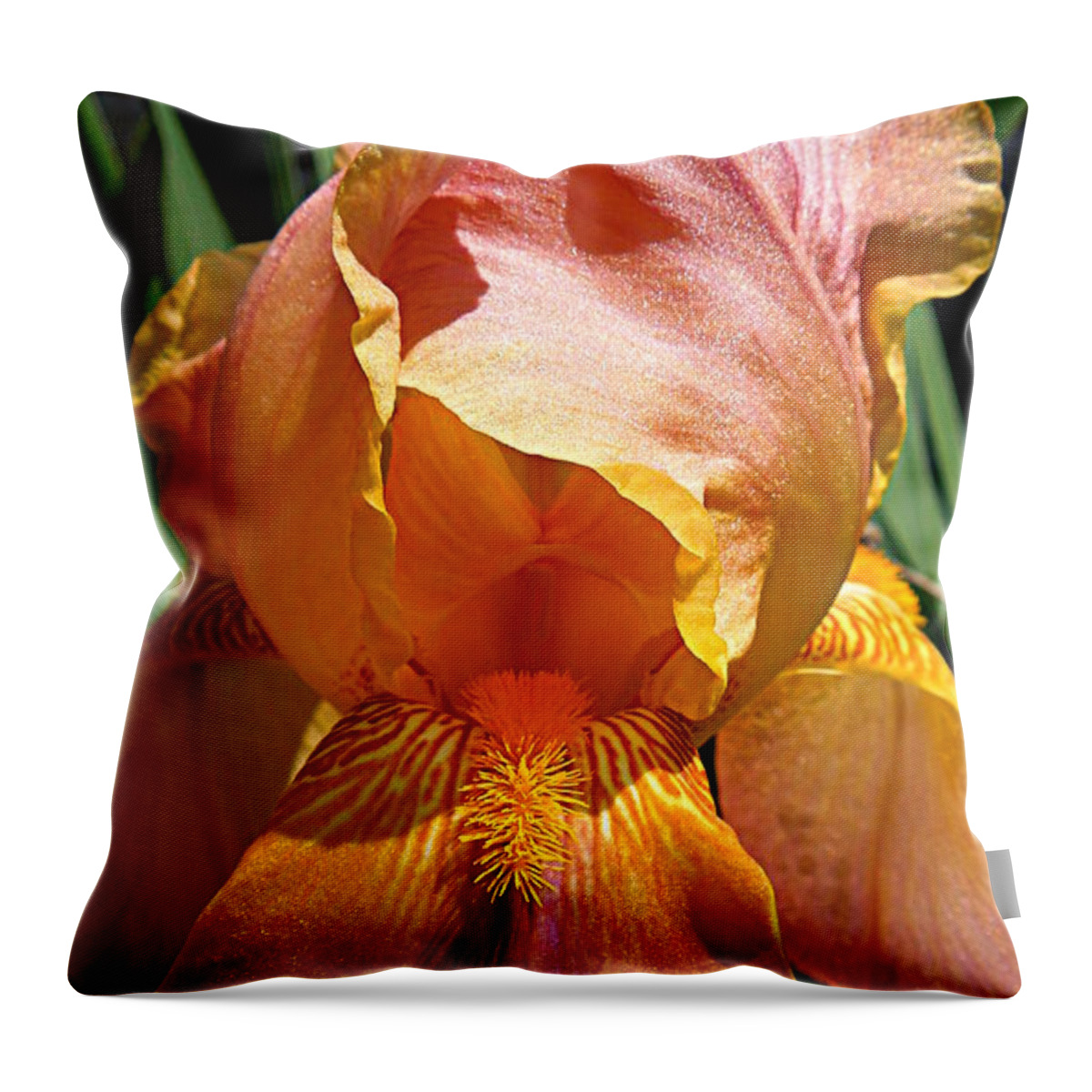 Iris Throw Pillow featuring the photograph Cajun Sunset by Renee Trenholm