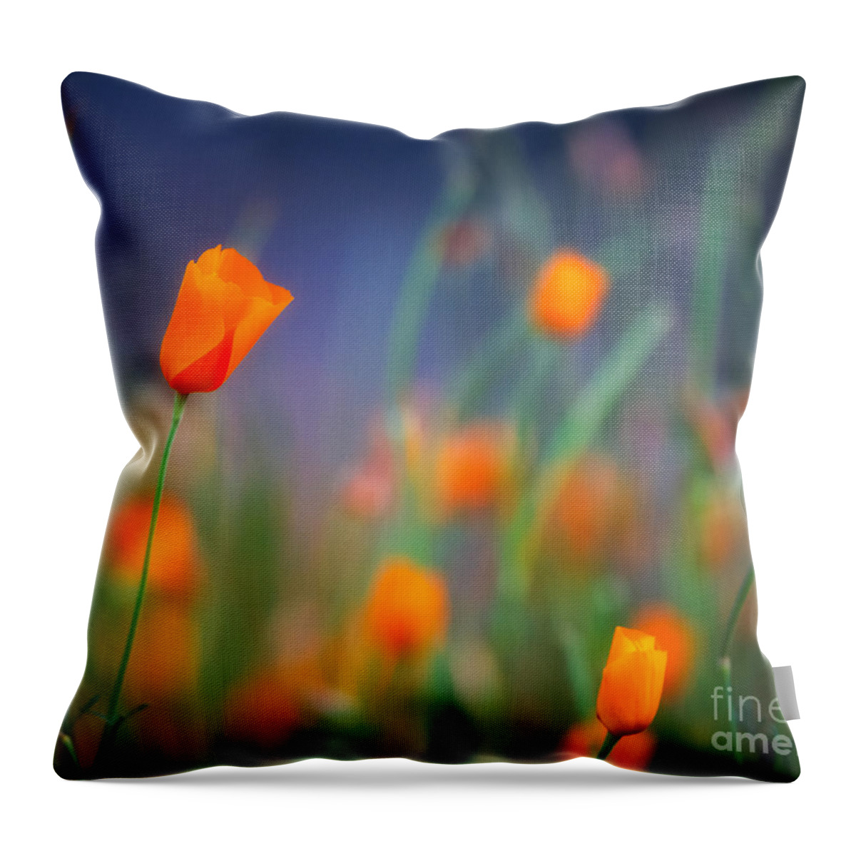 California Throw Pillow featuring the photograph California Poppies 2 by Anthony Michael Bonafede