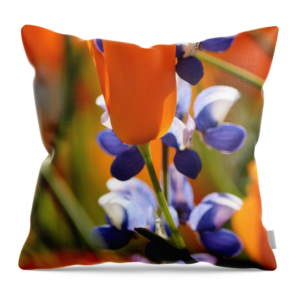 California Throw Pillow featuring the photograph California Poppies and Lupine Portrait by Kyle Hanson