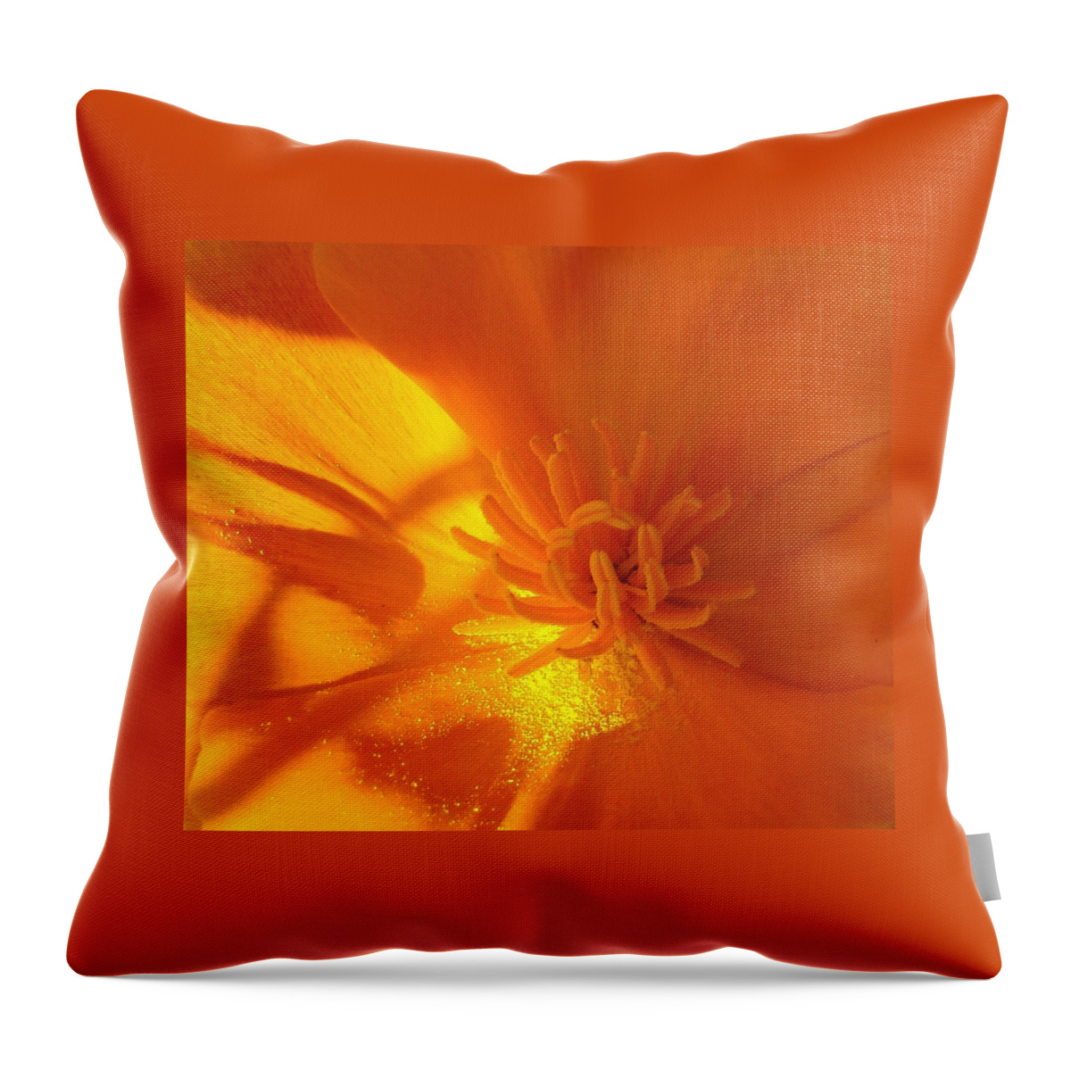 Flowers Throw Pillow featuring the photograph California Poppy by Liz Vernand