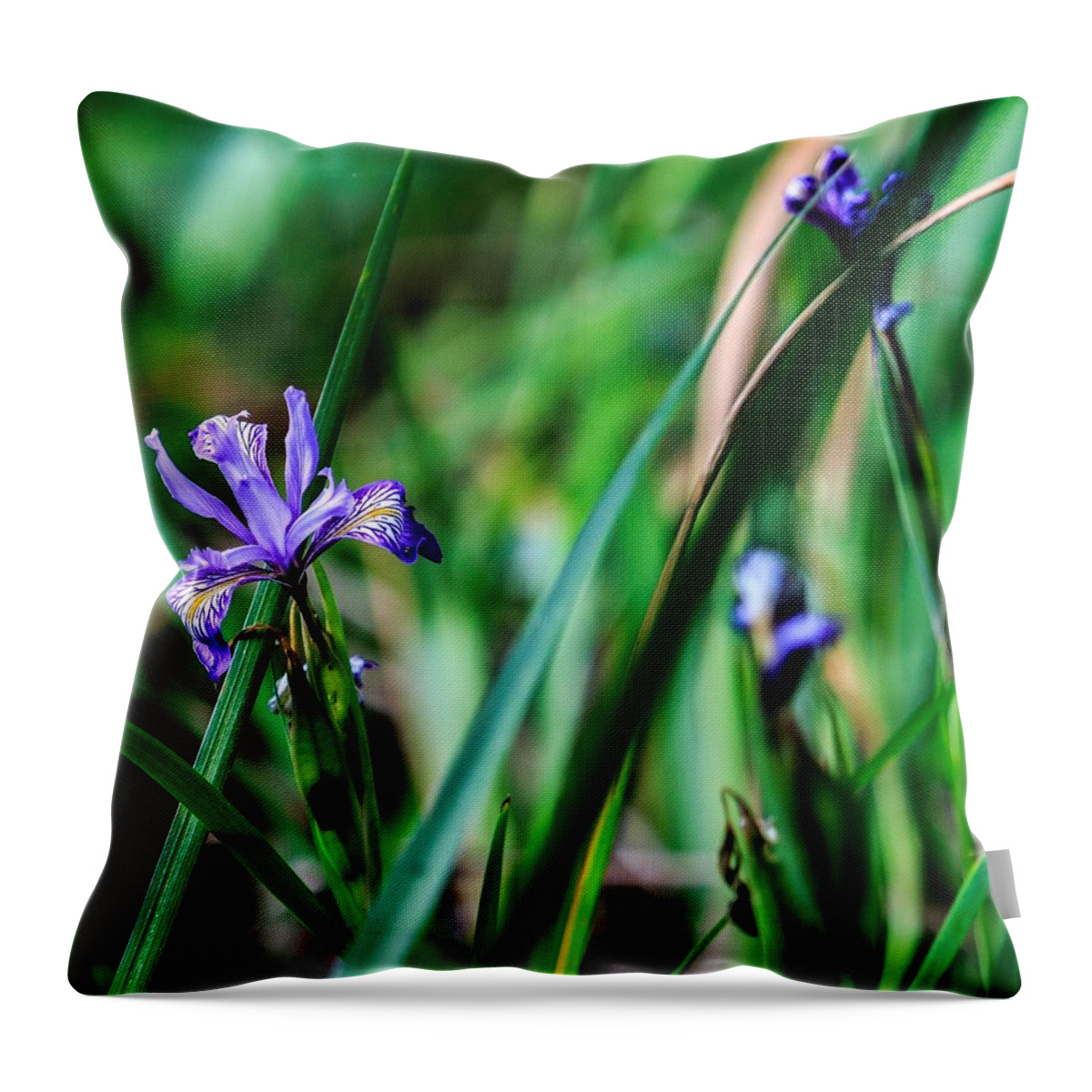Blue Throw Pillow featuring the photograph California roadside by Christopher Perez