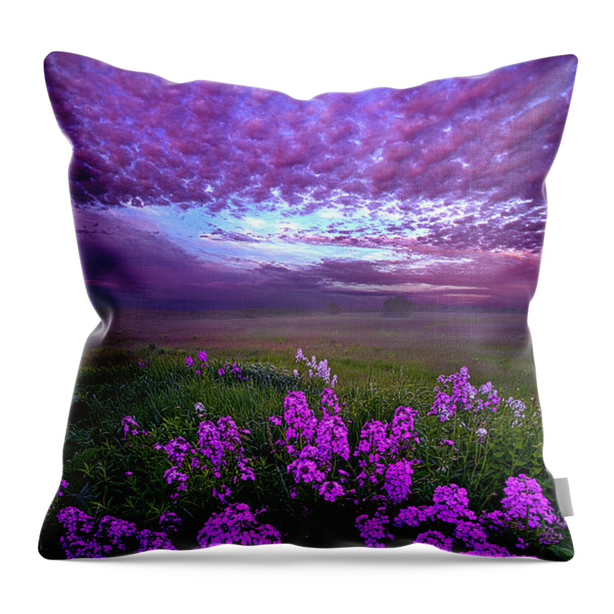 Clouds Throw Pillow featuring the photograph Call To Me And I Will Answer You by Phil Koch