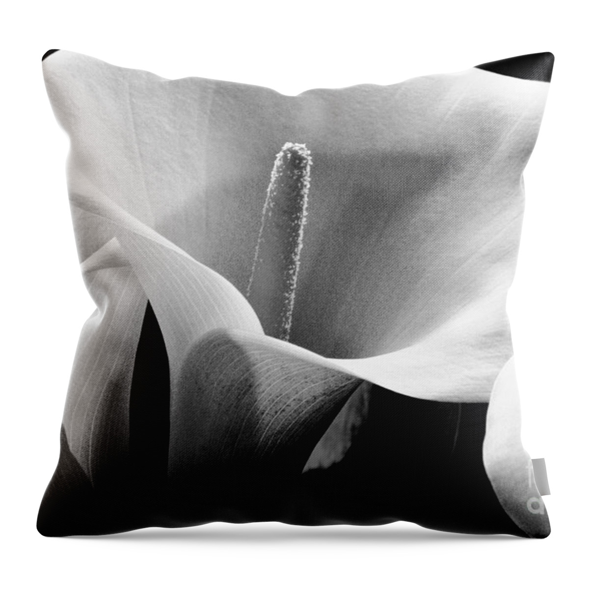 43-csb0023 Throw Pillow featuring the photograph Calla Lilies by William Waterfall - Printscapes