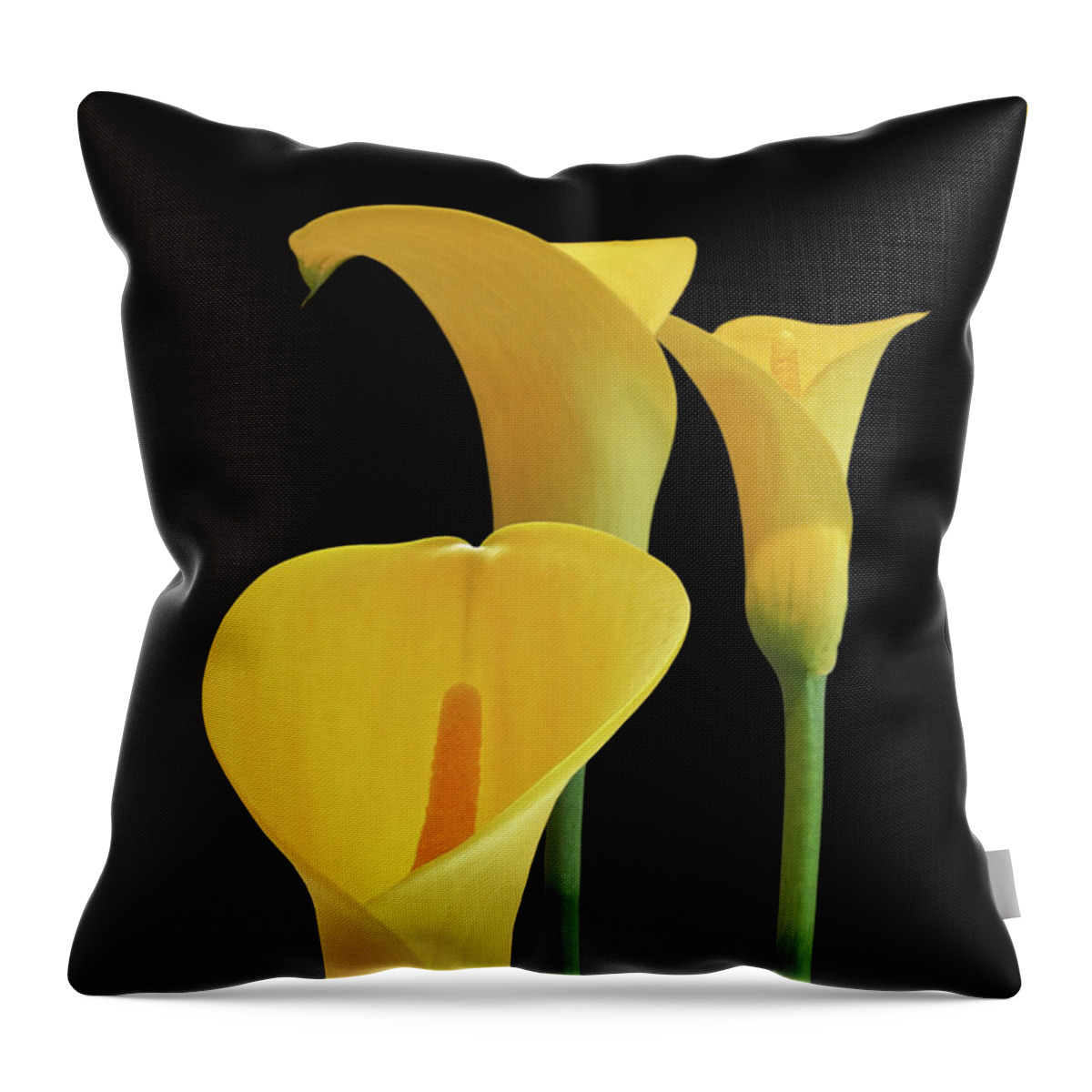 Yellow Flower Throw Pillow featuring the photograph Calla Lilies - Yellow on Black by Gill Billington