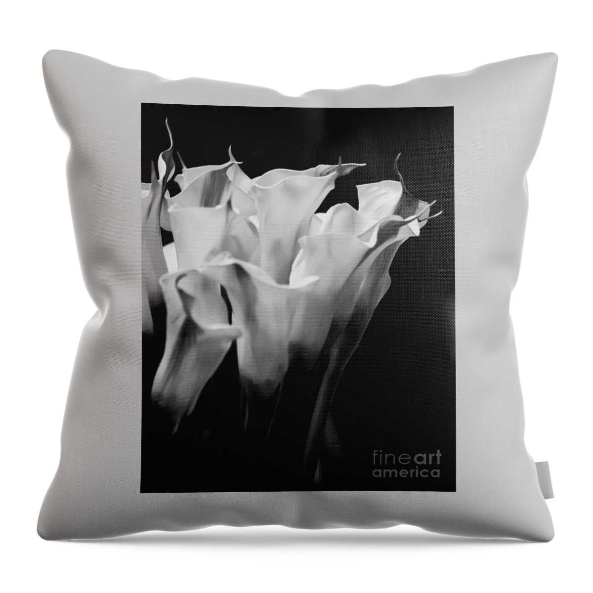 Calla Lily Throw Pillow featuring the photograph Calla Lily Flowers by James Aiken