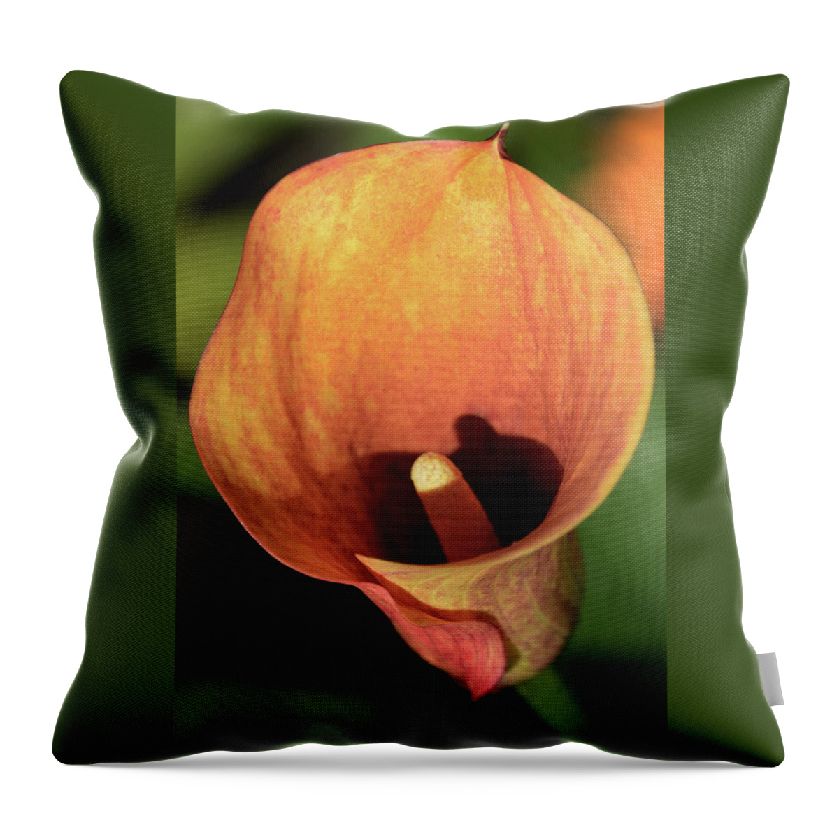Calla Lily Throw Pillow featuring the photograph Calla Sunbathing. by Terence Davis