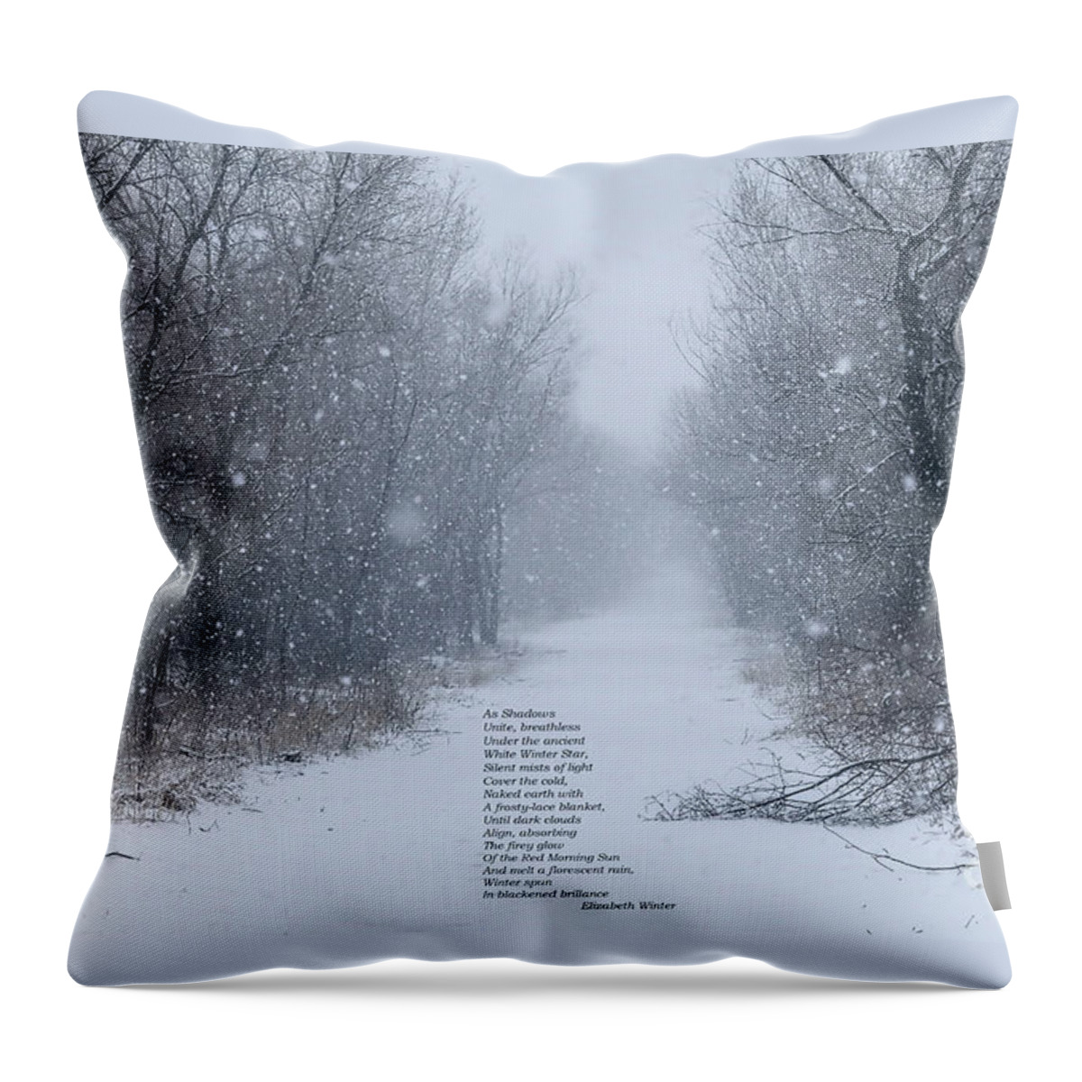 Winter Throw Pillow featuring the photograph Calm of Winter by Elizabeth Winter