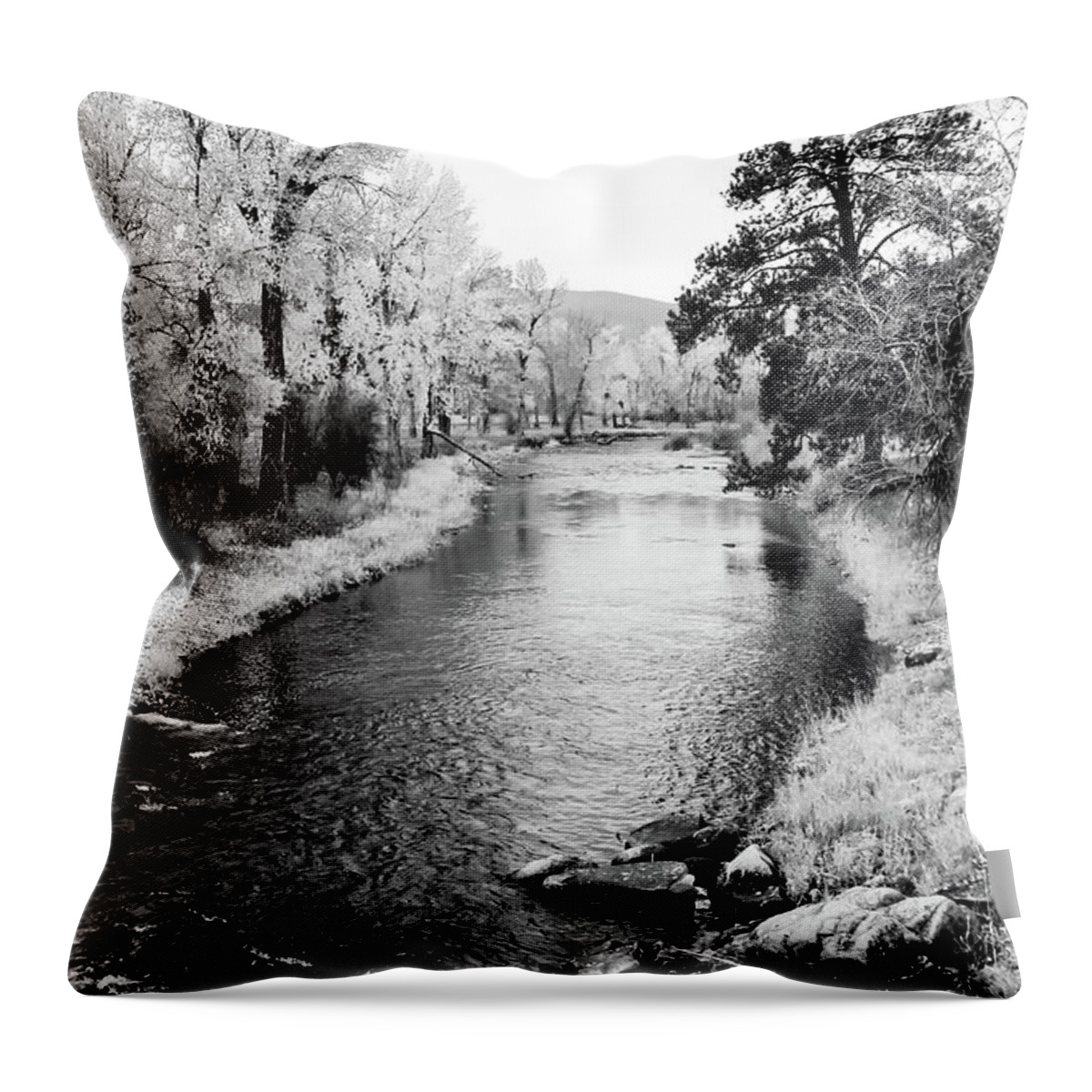 River Throw Pillow featuring the photograph Calm River Black and White by Athena Mckinzie