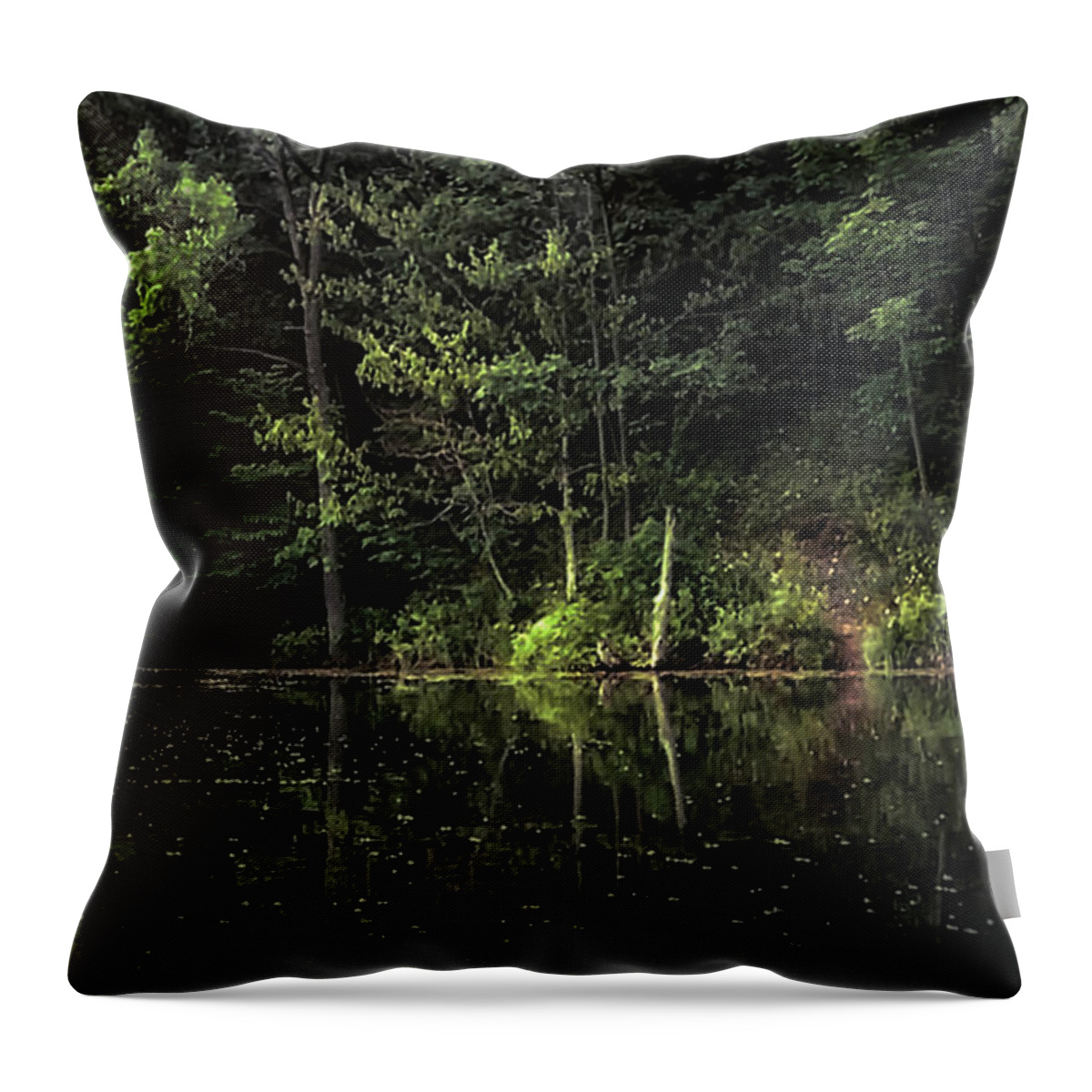 Lakes Throw Pillow featuring the photograph Calm Waters by Elaine Malott