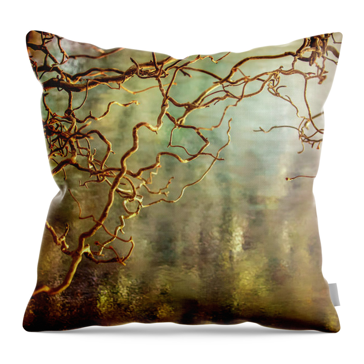 Water Reflections Throw Pillow featuring the photograph Calming Waters From Heaven by Karen Wiles
