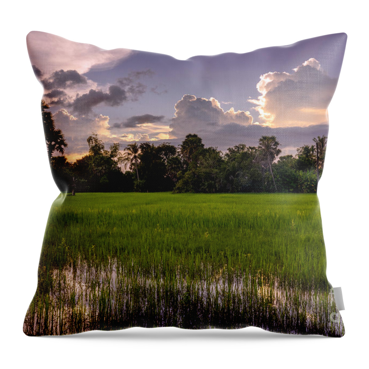 Cambodia Throw Pillow featuring the photograph Cambodian Rice Fields Dramatic Cloudscape by Mike Reid