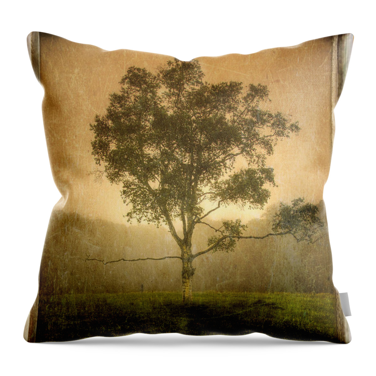 Craig Throw Pillow featuring the photograph Camden Tree Fog in the Meadow by Craig J Satterlee