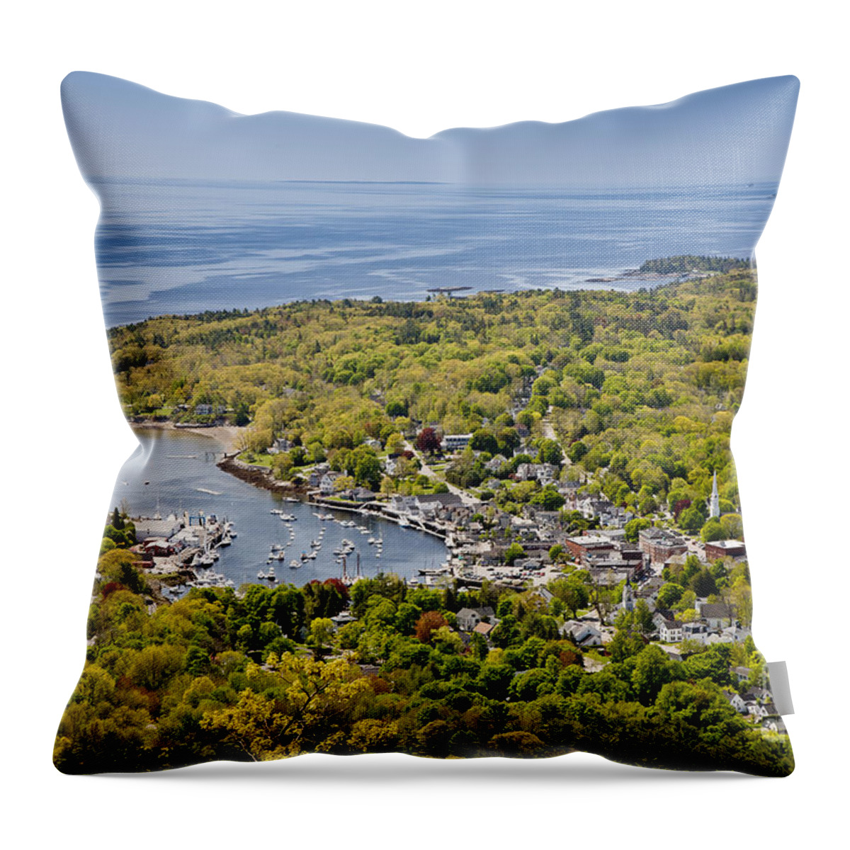 Blossom Throw Pillow featuring the photograph Camden View by Susan Cole Kelly