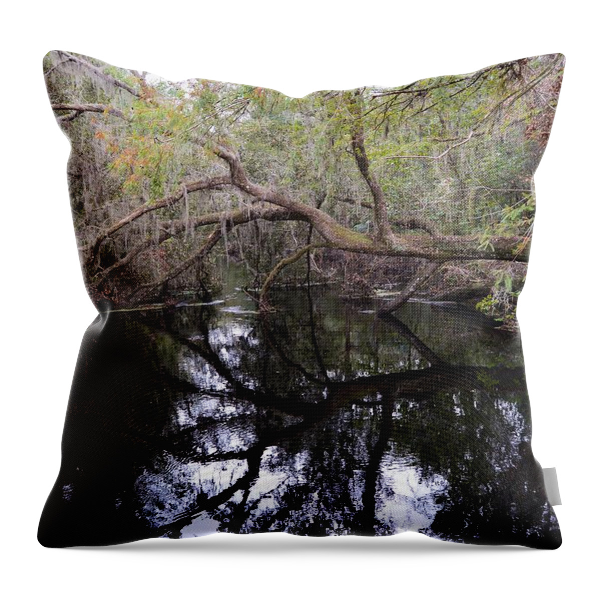 Camp Canal Throw Pillow featuring the photograph Camp Canal by Warren Thompson