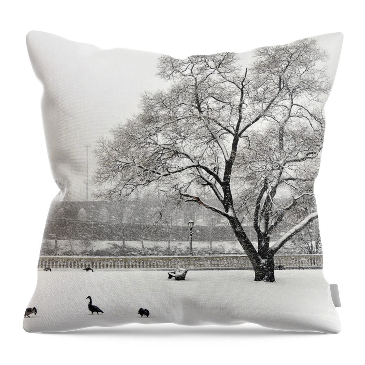 Canada Geese Throw Pillow featuring the photograph Canada Geese by Andrew Dinh