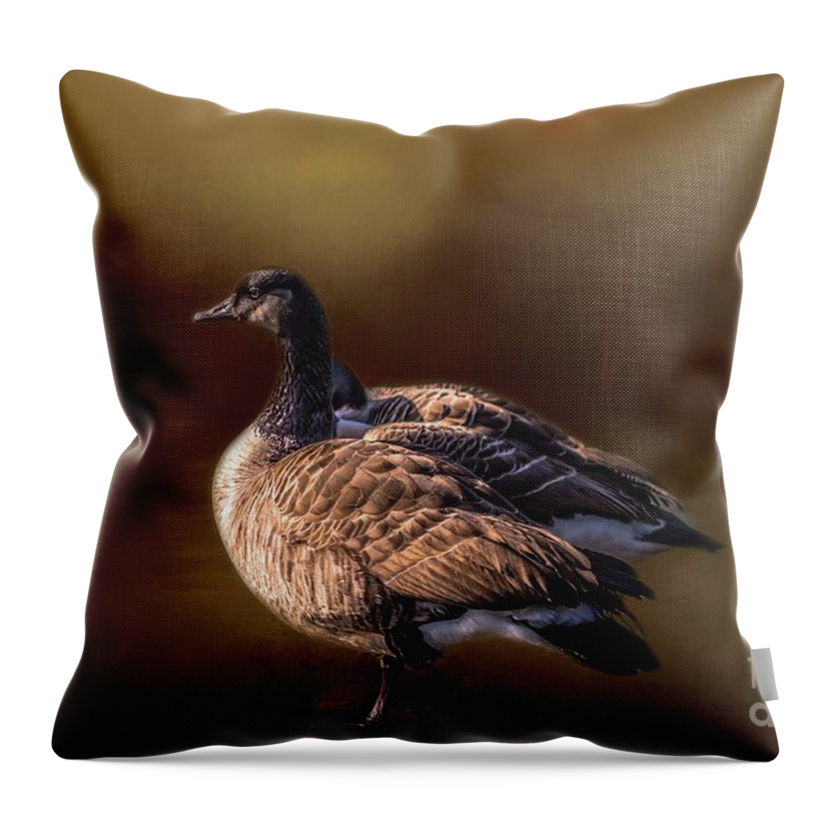 Canada Geese Throw Pillow featuring the photograph Canada Geese by Eva Lechner