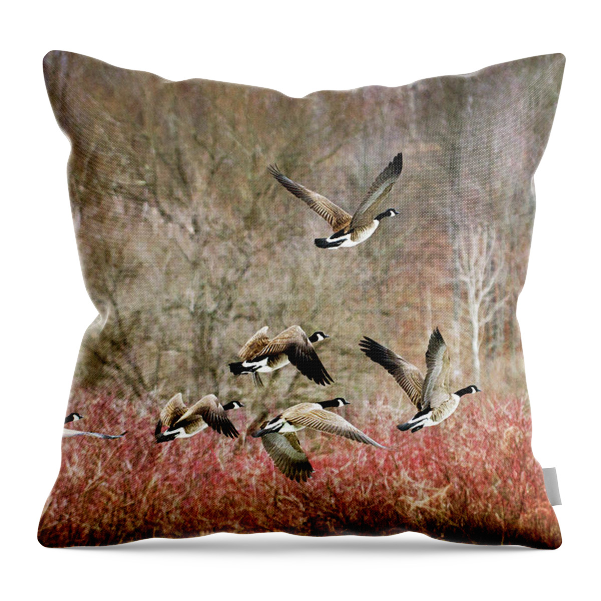 Canada Geese Throw Pillow featuring the photograph Canada Geese In Flight by Christina Rollo
