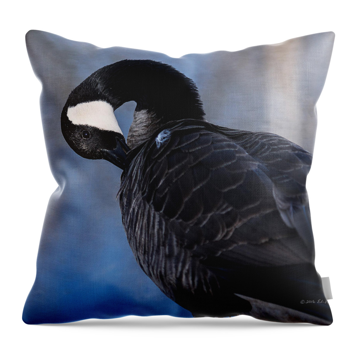 Heron Heaven Throw Pillow featuring the photograph Canada Goose Preening by Ed Peterson