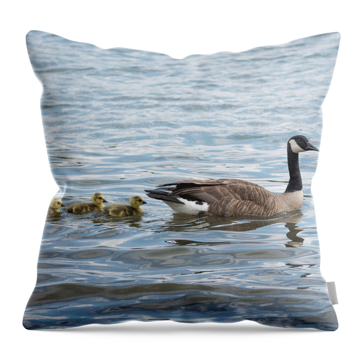 Goose Throw Pillow featuring the photograph Canada Goose With Its Goslings by Holden The Moment
