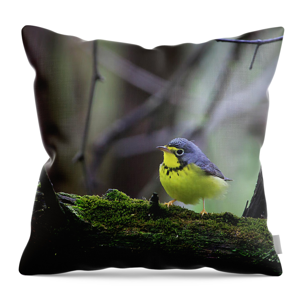 Necklace Throw Pillow featuring the photograph Canada Warbler by Gary Hall