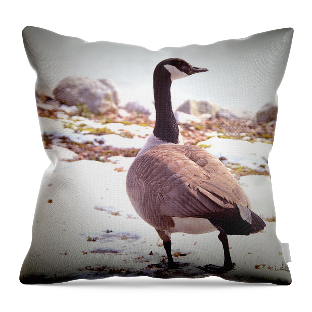 Canadian Throw Pillow featuring the photograph Canadian Goose Snow Stroll by Lesa Fine