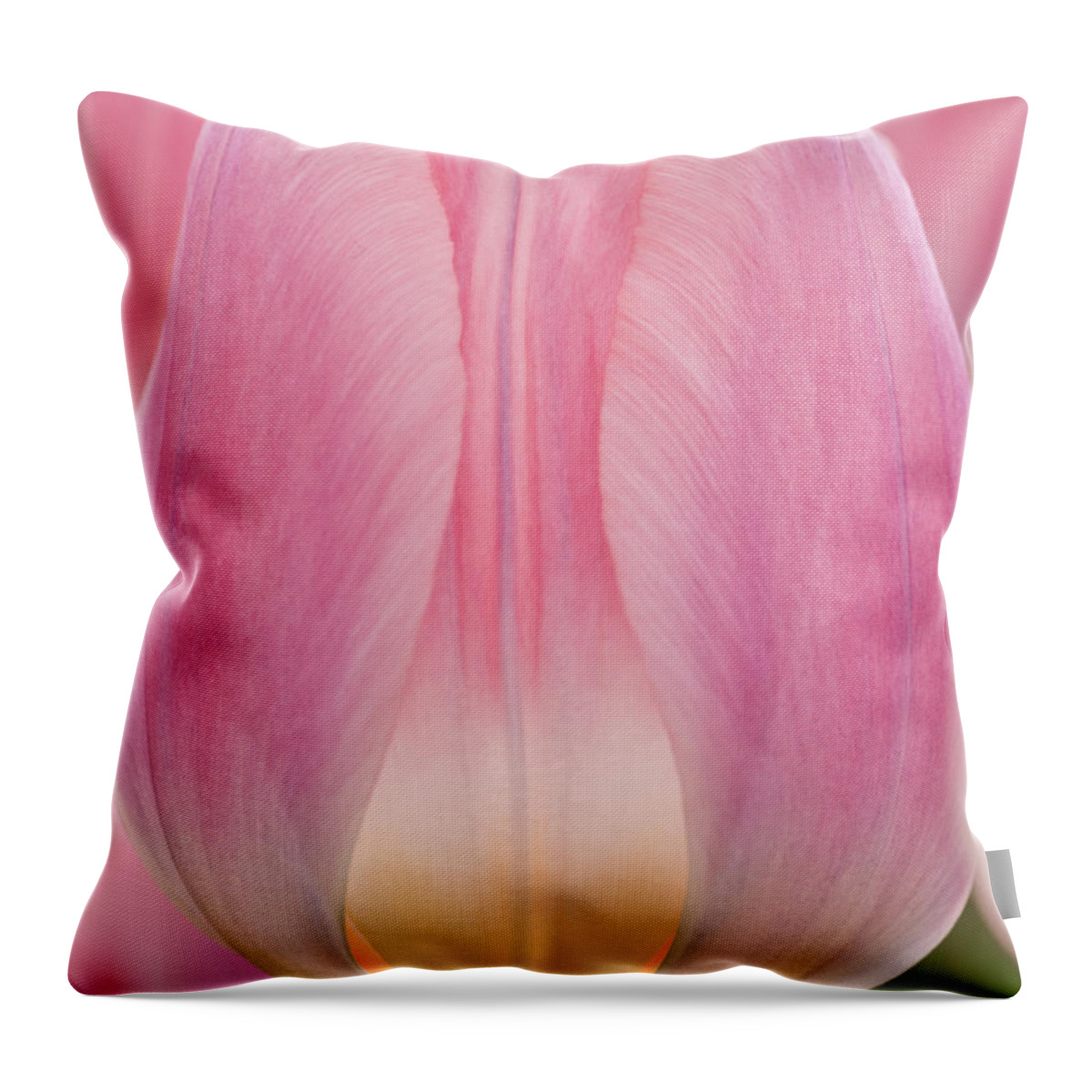 Beauty Throw Pillow featuring the photograph Candlelight by Eggers Photography