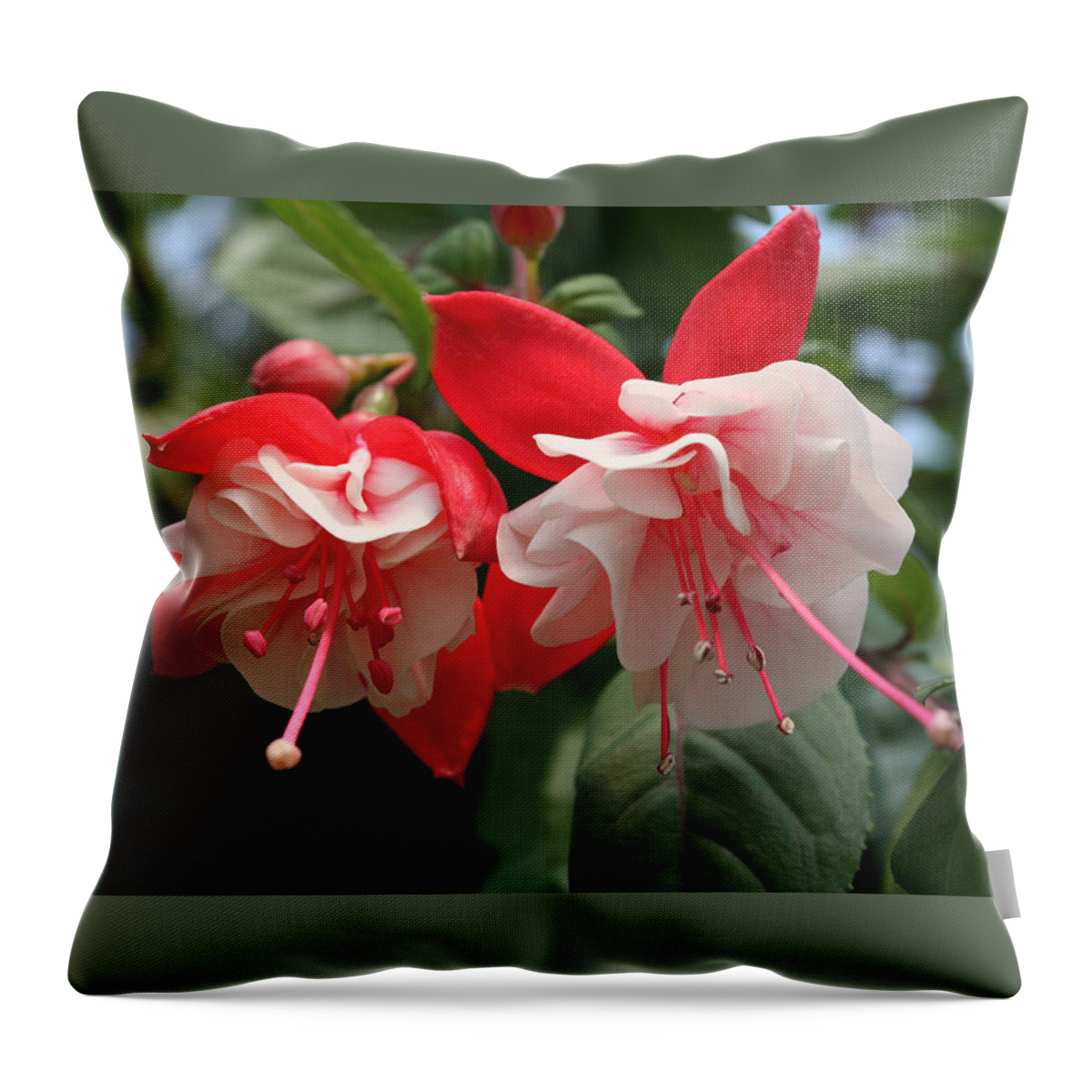  Throw Pillow featuring the photograph Candy Cane Fuchsias by Tammy Pool
