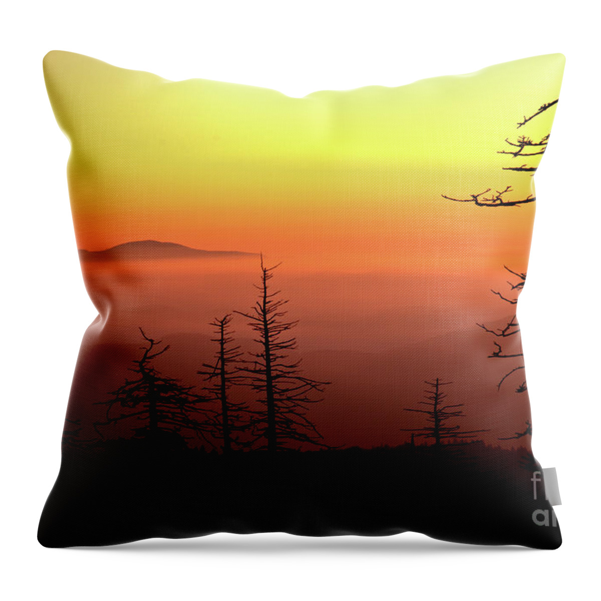 Sunrise Throw Pillow featuring the photograph Candy Corn Sunrise by Douglas Stucky