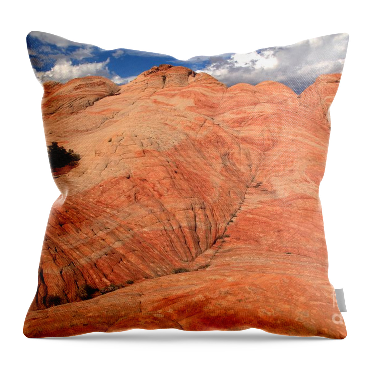 Yant Flat Throw Pillow featuring the photograph Candycane Landscape by Adam Jewell