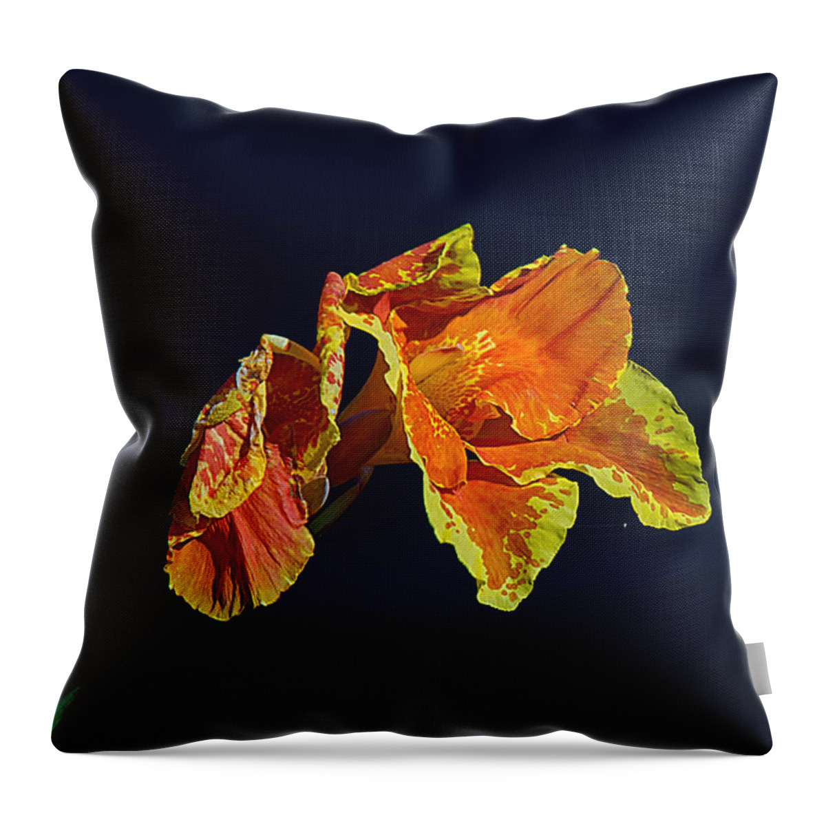 Nature Throw Pillow featuring the photograph Canna by Kenneth Albin