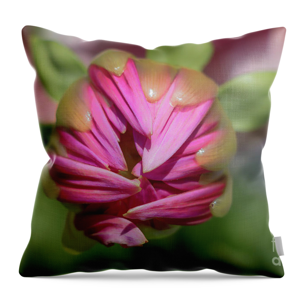 Cannot Rush Perfection Throw Pillow featuring the photograph Cannot Rush Perfection by Elizabeth Dow