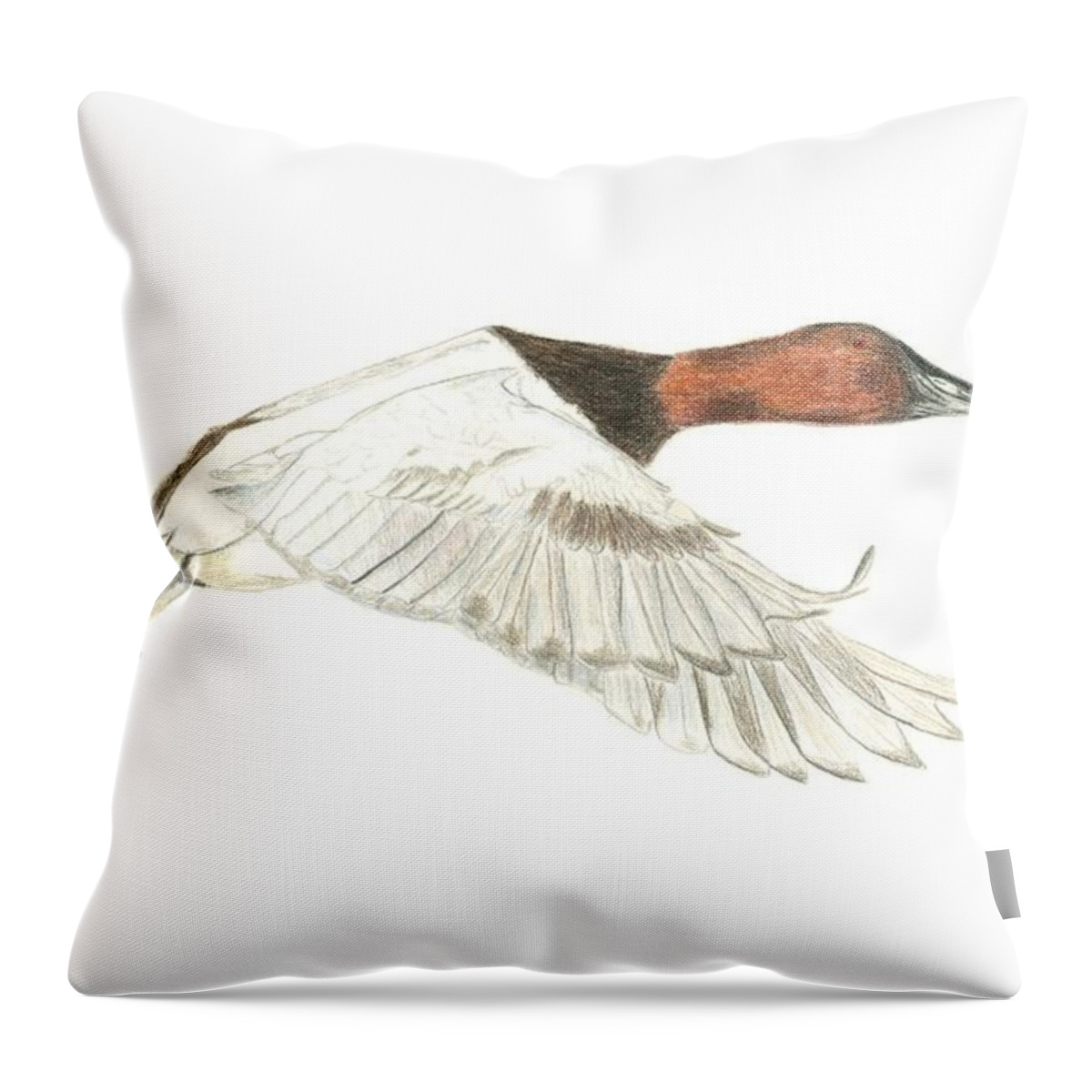 Duck Throw Pillow featuring the drawing Canvasback by Sara Stevenson