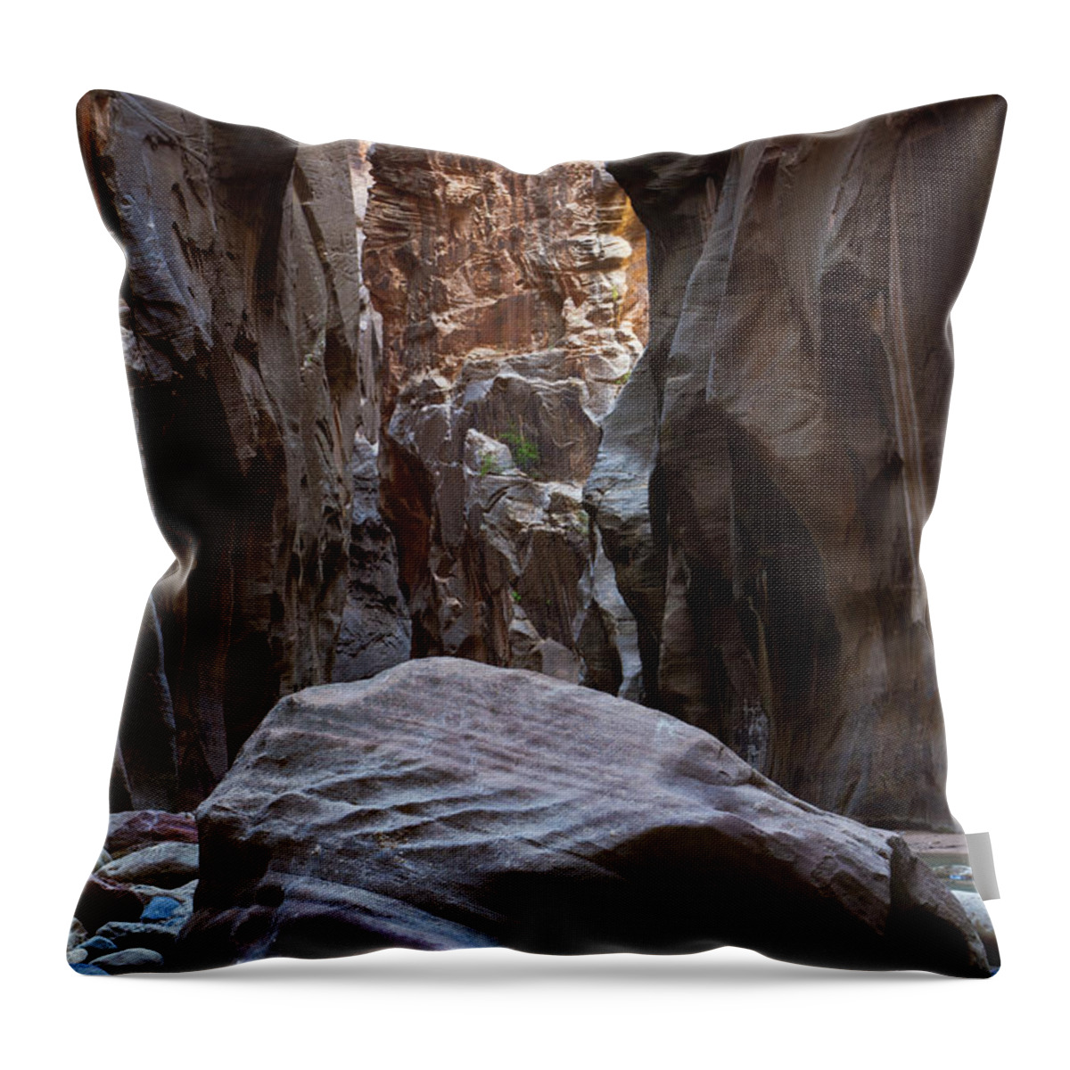 Zion Throw Pillow featuring the photograph Canyon Rock by Bryan Keil