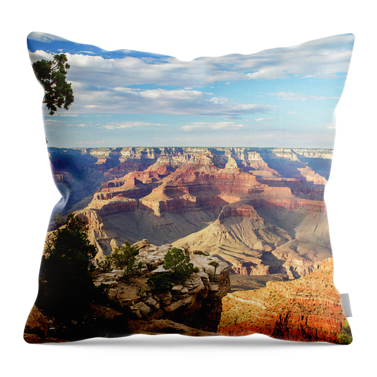 Color Throw Pillow featuring the photograph Canyon Shadows -1 by Alan Hausenflock