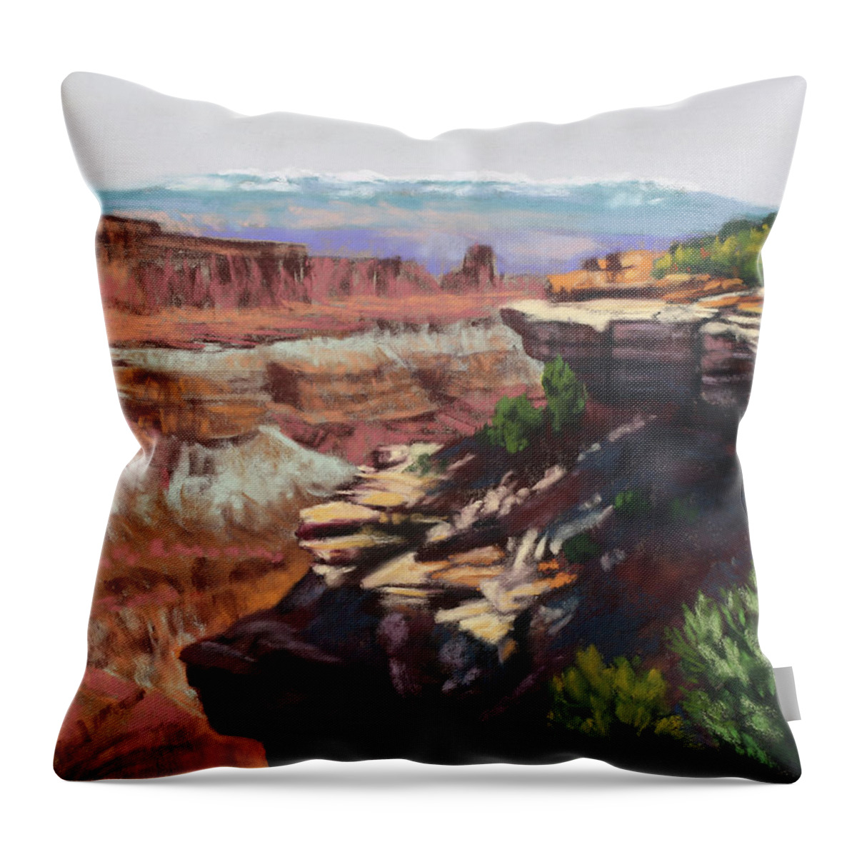 Canyon Throw Pillow featuring the painting Canyon Shadows by Sandi Snead