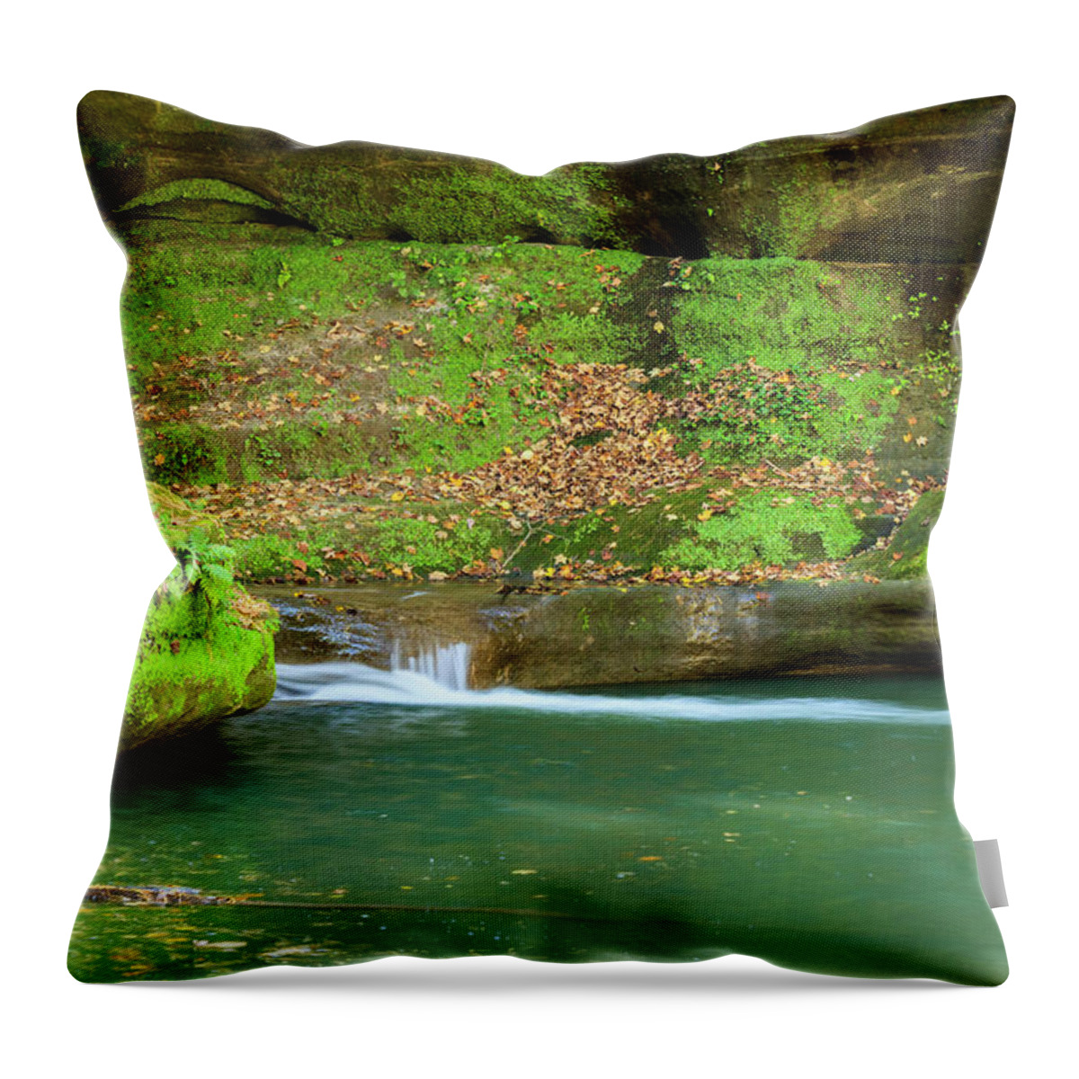 Illinois Throw Pillow featuring the photograph Canyon Solitude by Todd Bannor