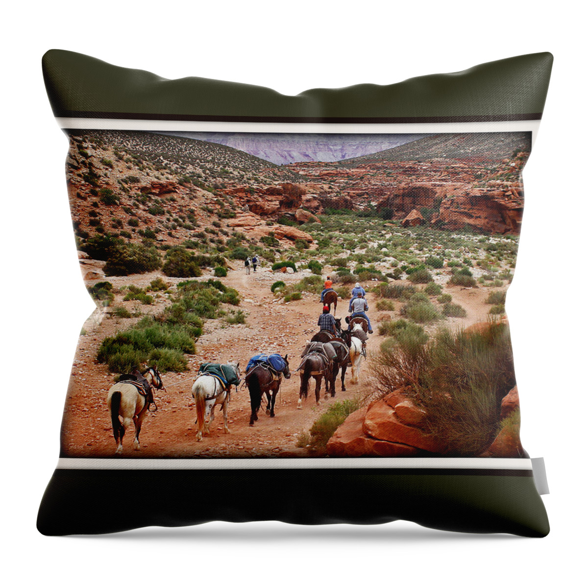 Havasupi Throw Pillow featuring the photograph Canyon Trail by Farol Tomson