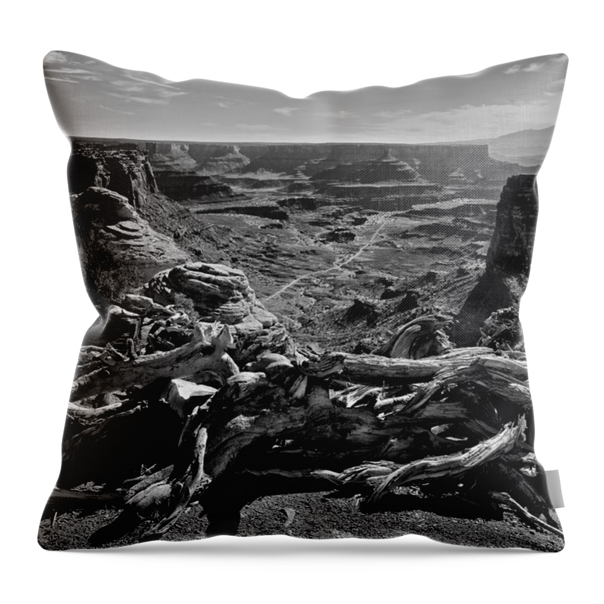 Canyonlands National Park Throw Pillow featuring the photograph Canyonlands National Park by John Daly