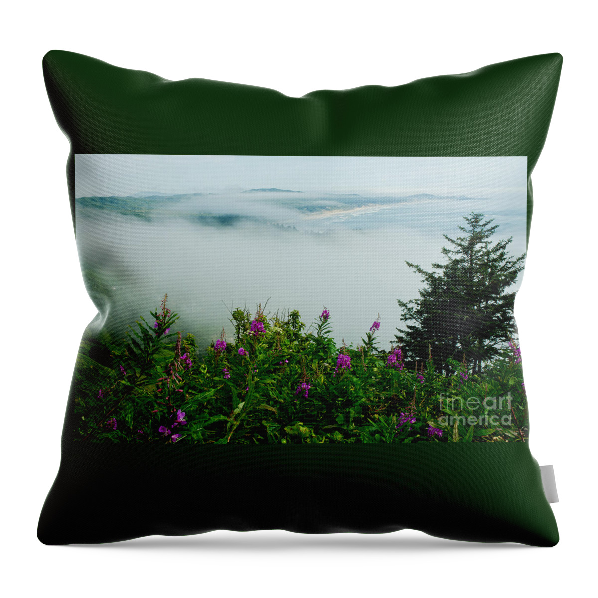 Oregon Throw Pillow featuring the photograph Cape Foulweather Seascape by Nick Boren