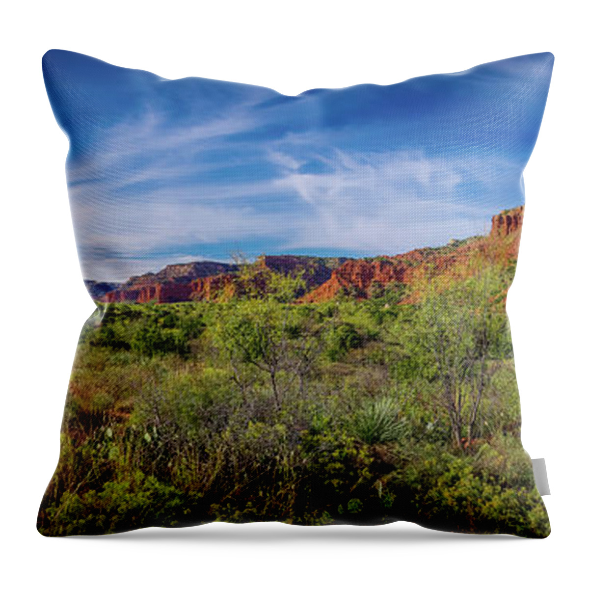 Panorama Throw Pillow featuring the photograph Caprock Canyon Panorama 2 by Adam Reinhart