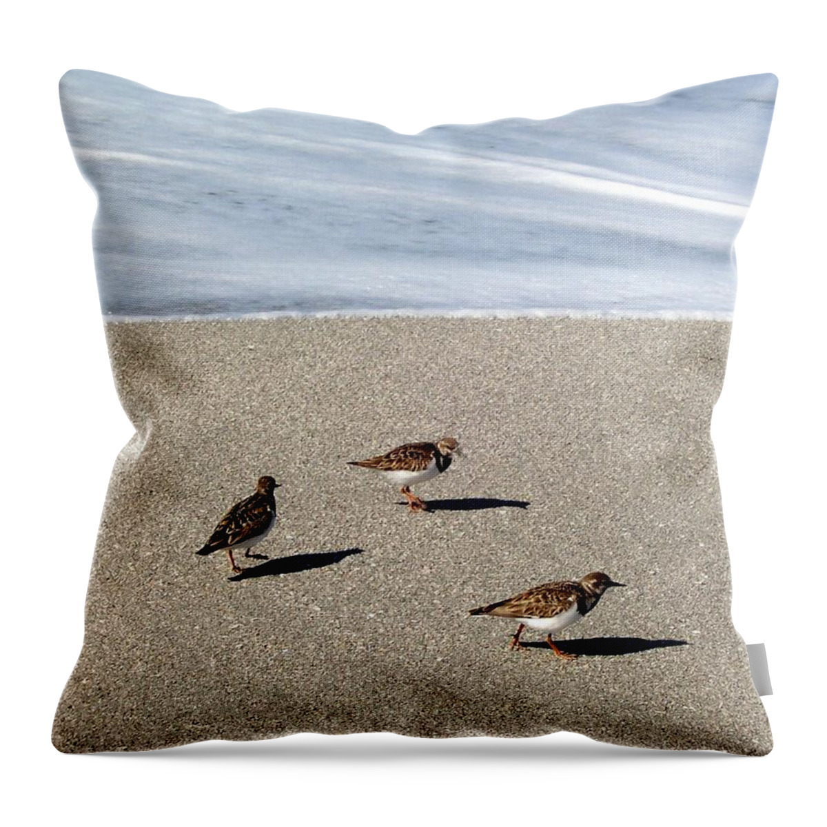 Beach Throw Pillow featuring the photograph Captiva Brids by Elizabeth Klecker