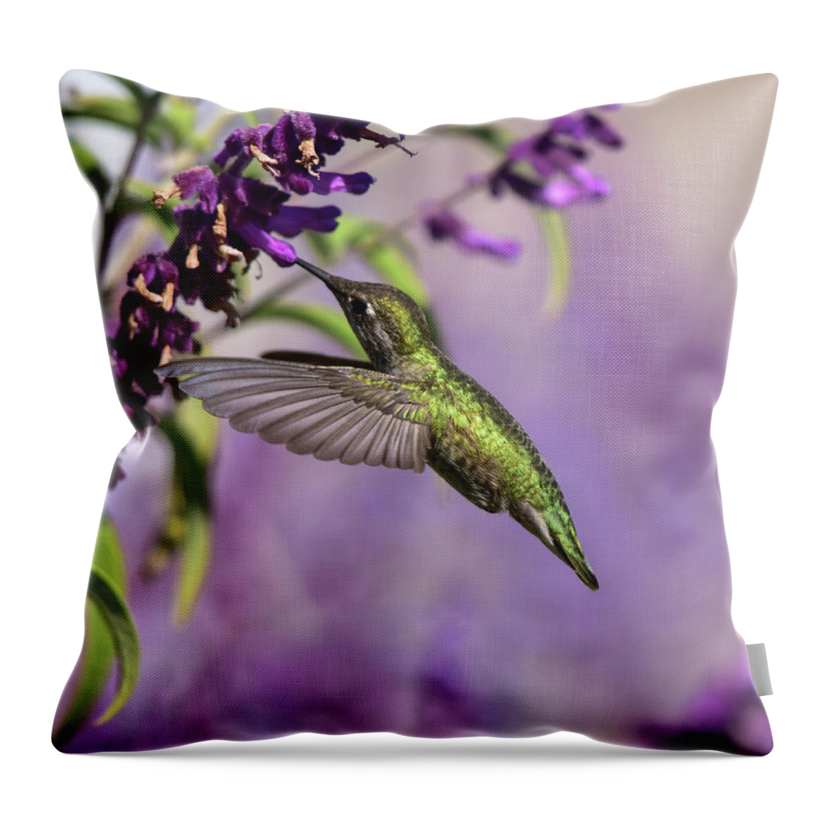 Linda Brody Throw Pillow featuring the photograph Captivated III by Linda Brody