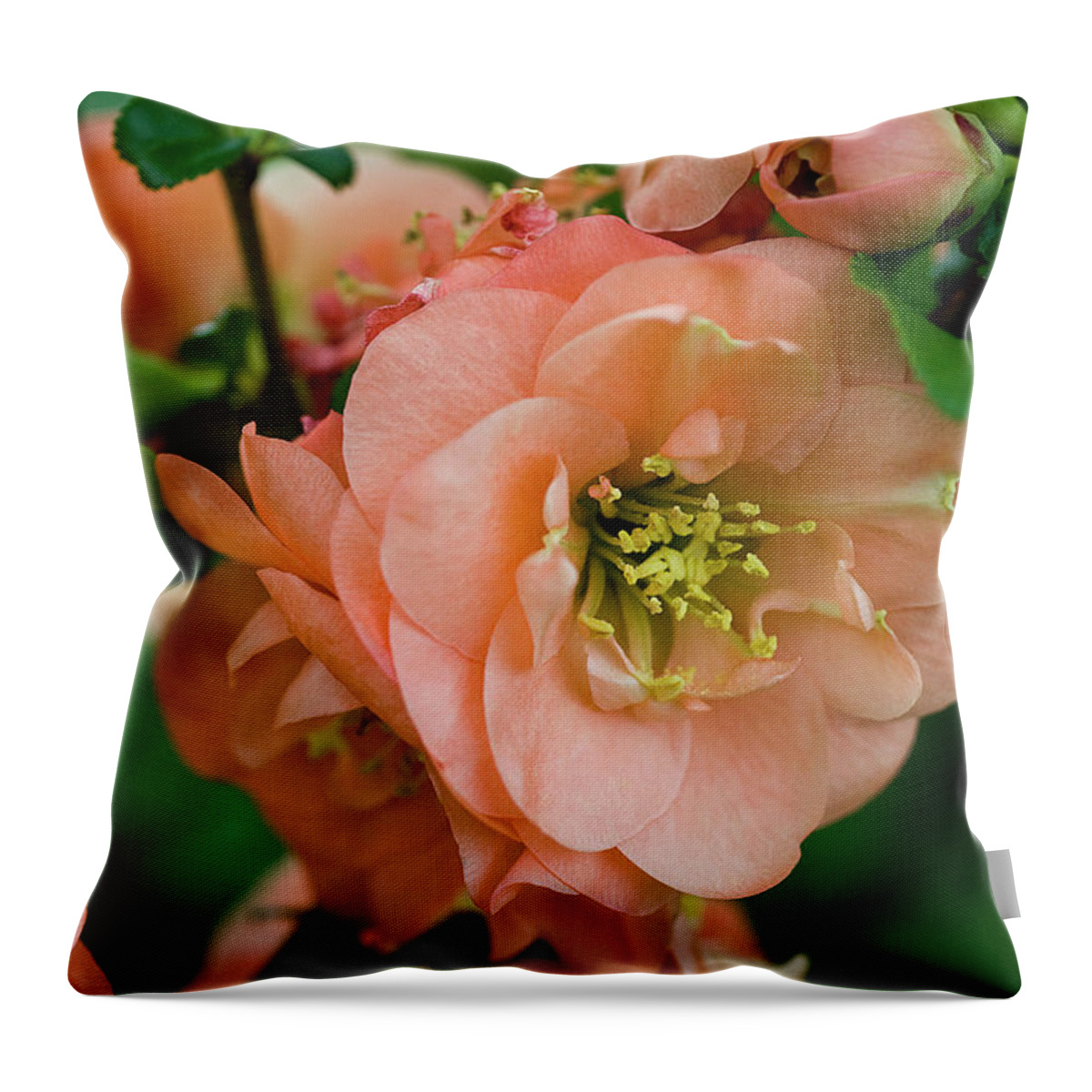 Jigsaw Puzzle Throw Pillow featuring the photograph Captivating Camellias by Carole Gordon