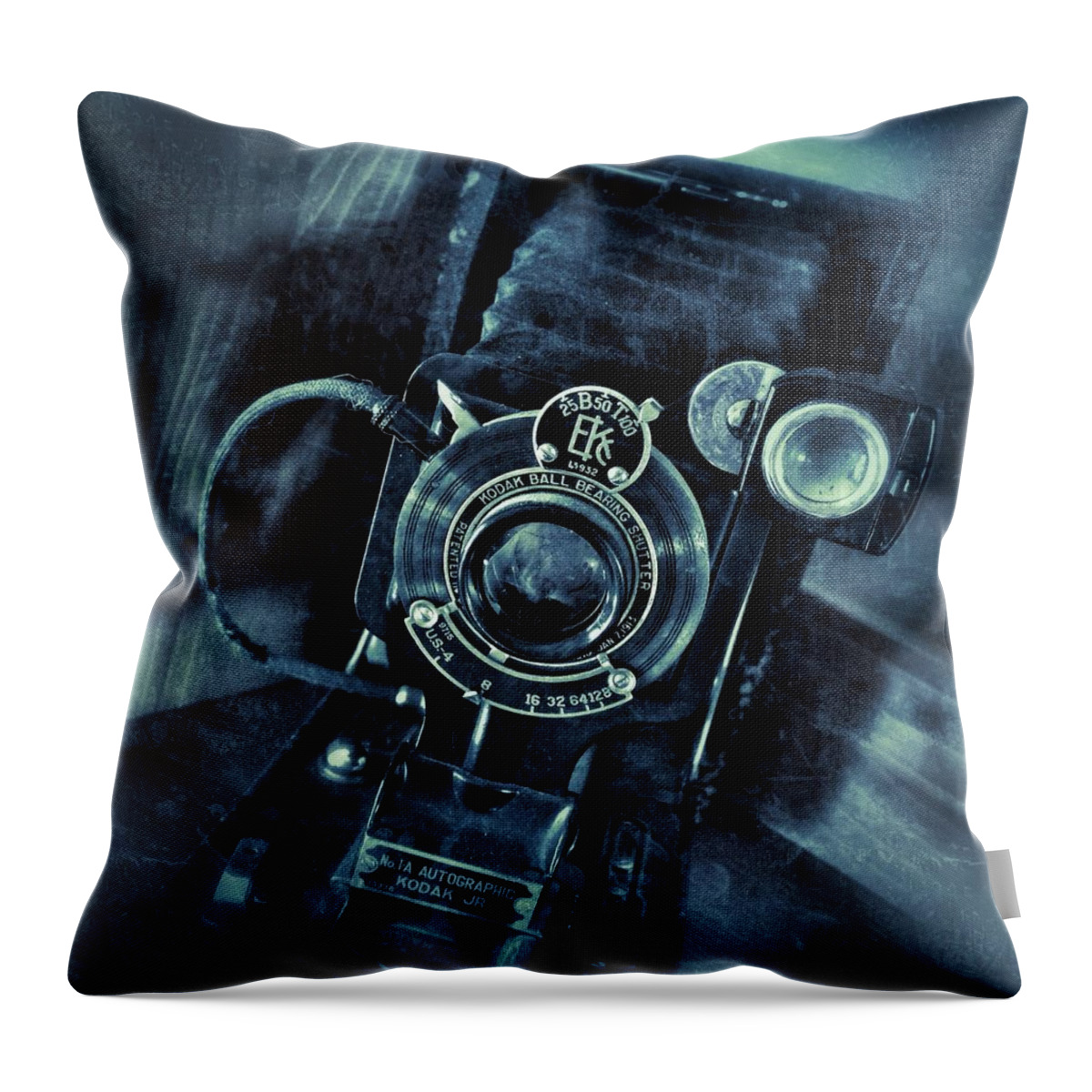Photography Throw Pillow featuring the photograph Captured Antique by Kathleen Messmer